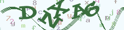 验证码